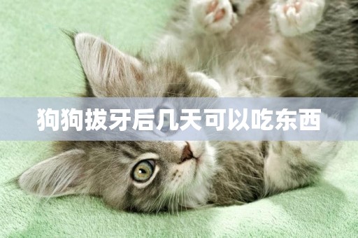 狗狗拔牙后幾天可以吃東西