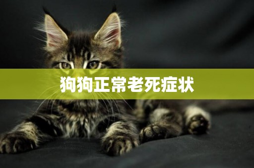 狗狗正常老死癥狀