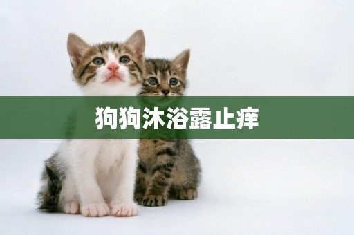 狗狗沐浴露止癢