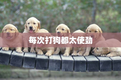 每次打狗都太使勁