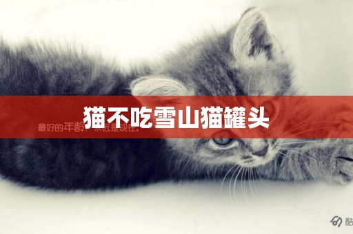 貓不吃雪山貓罐頭