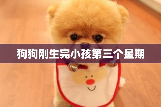 狗狗剛生完小孩第三個星期
