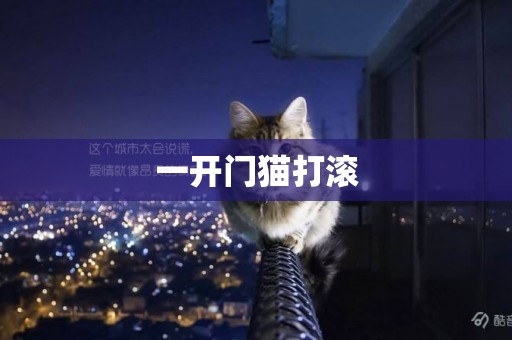 一開門貓打滾