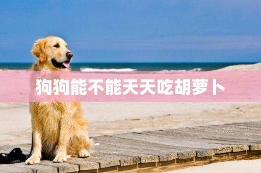 狗狗能不能天天吃胡蘿卜