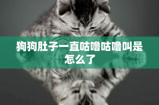 狗狗肚子一直咕嚕咕嚕叫是怎么了