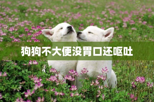 狗狗不大便沒胃口還嘔吐