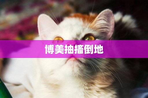 博美抽搐倒地