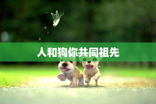 人和狗你共同祖先
