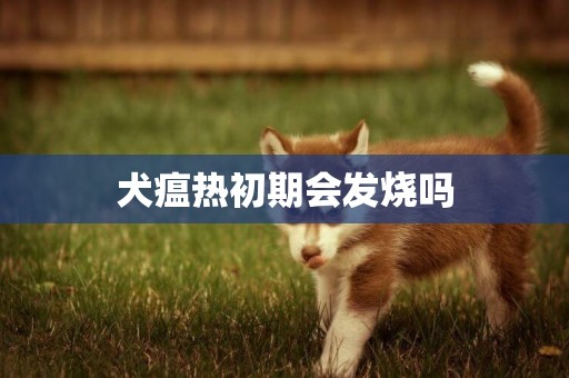 犬瘟熱初期會發燒嗎