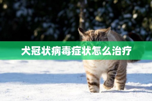犬冠狀病毒癥狀怎么治療