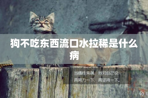 狗不吃東西流口水拉稀是什么病