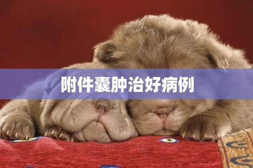 附件囊腫治好病例
