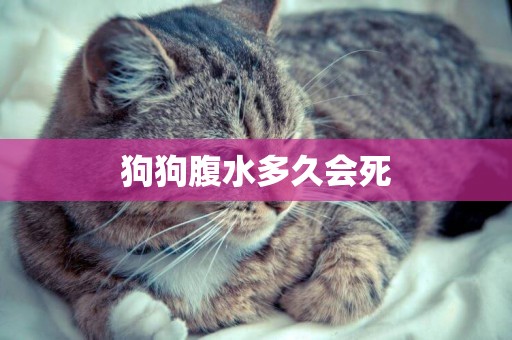 狗狗腹水多久會死
