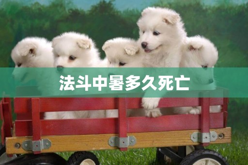 法斗中暑多久死亡