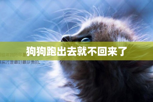 狗狗跑出去就不回來了