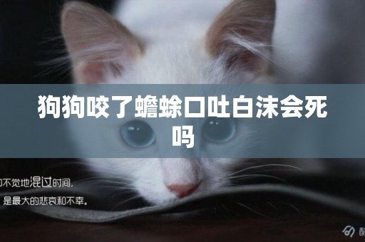 狗狗咬了蟾蜍口吐白沫會死嗎