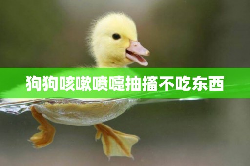 狗狗咳嗽噴嚏抽搐不吃東西