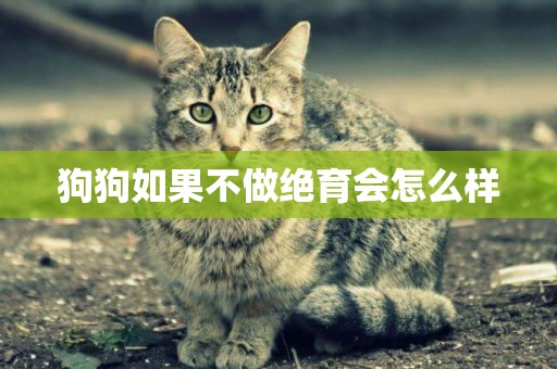 狗狗如果不做絕育會怎么樣