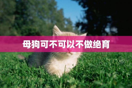 母狗可不可以不做絕育
