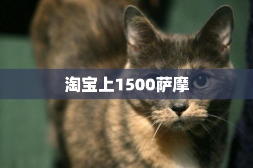 淘寶上1500薩摩