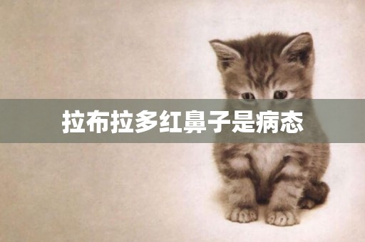 拉布拉多紅鼻子是病態