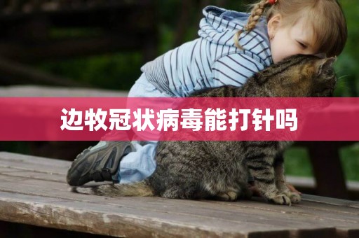 邊牧冠狀病毒能打針嗎