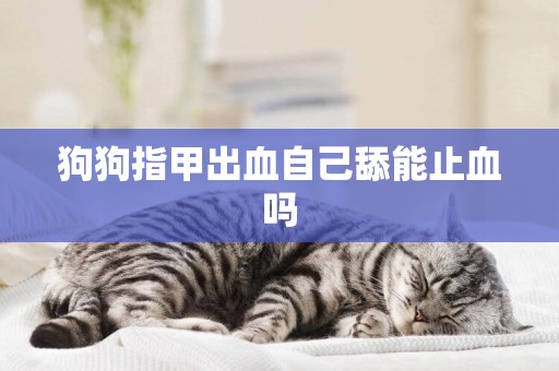 狗狗指甲出血自己舔能止血嗎
