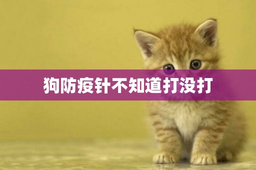 狗防疫針不知道打沒打
