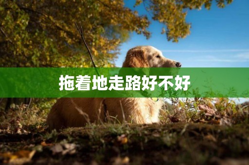 拖著地走路好不好