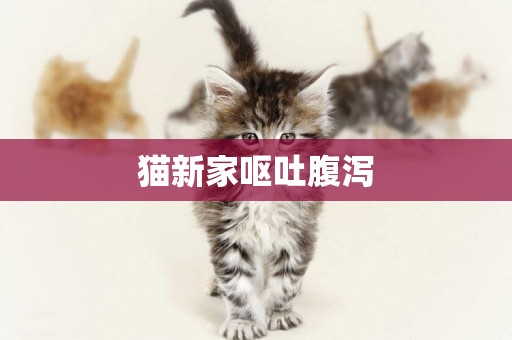 貓新家嘔吐腹瀉