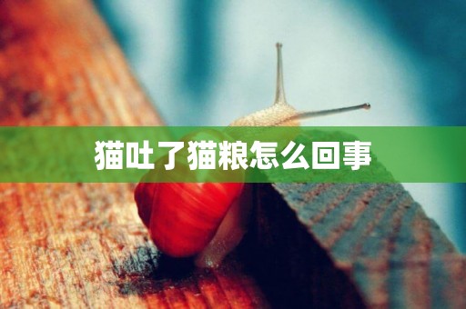 貓吐了貓糧怎么回事