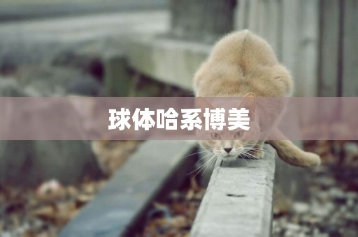 球體哈系博美