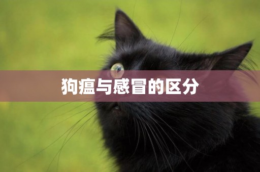 狗瘟與感冒的區分