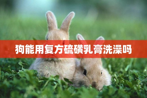 狗能用復方硫磺乳膏洗澡嗎
