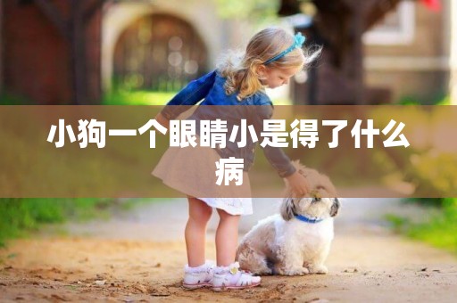 小狗一個眼睛小是得了什么病