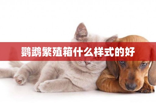 鸚鵡繁殖箱什么樣式的好