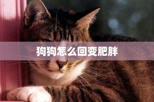 狗狗怎么回變肥胖