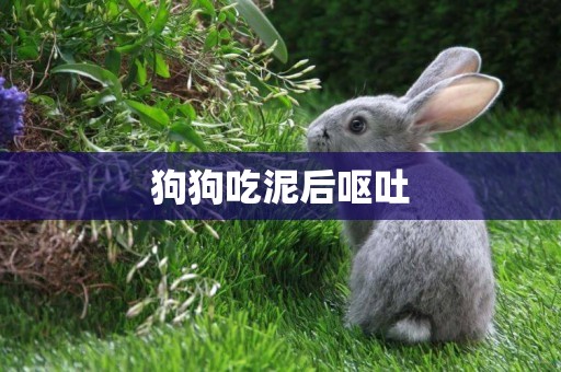 狗狗吃泥后嘔吐