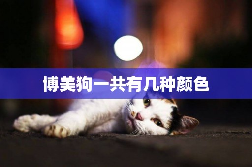 博美狗一共有幾種顏色
