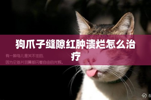 狗爪子縫隙紅腫潰爛怎么治療