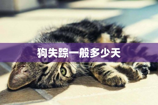 狗失蹤一般多少天