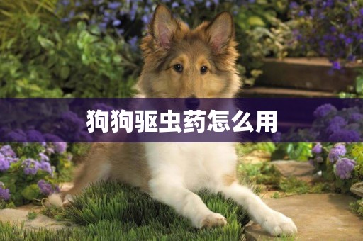 狗狗驅蟲藥怎么用