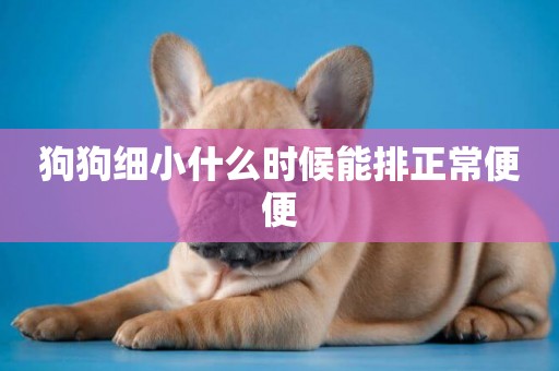 狗狗細小什么時候能排正常便便