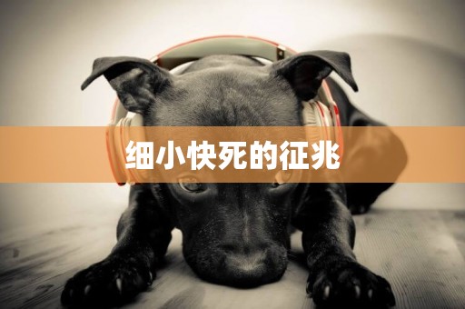 細小快死的征兆