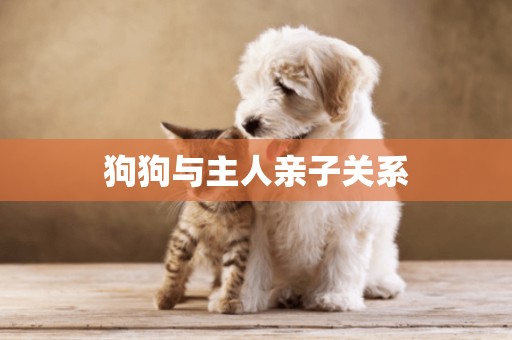 狗狗與主人親子關系