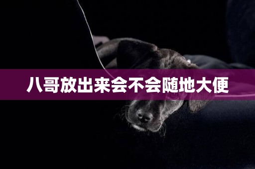 八哥放出來會不會隨地大便