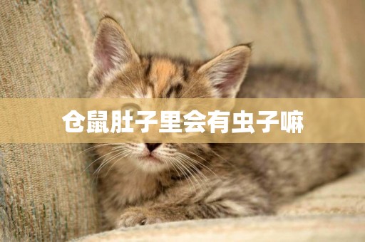 倉鼠肚子里會有蟲子嘛