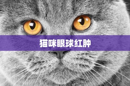 貓咪眼球紅腫