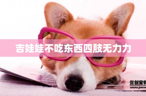 吉娃娃不吃東西四肢無力力
