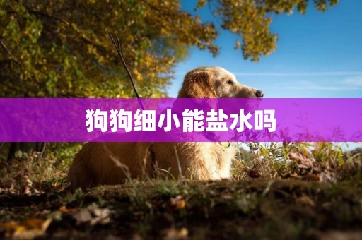 狗狗細小能鹽水嗎
